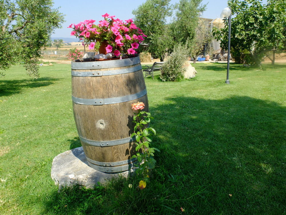 Agriturismo Al Girasole ซานโดนาโต ภายนอก รูปภาพ